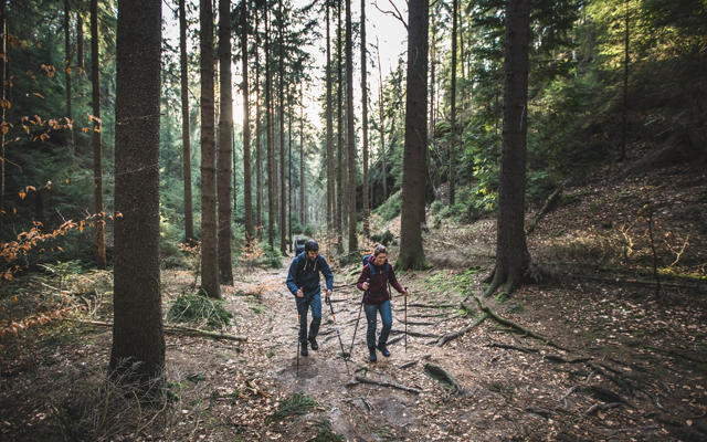 twee mensen op hanwag wandelschoenen wandelen door het bos