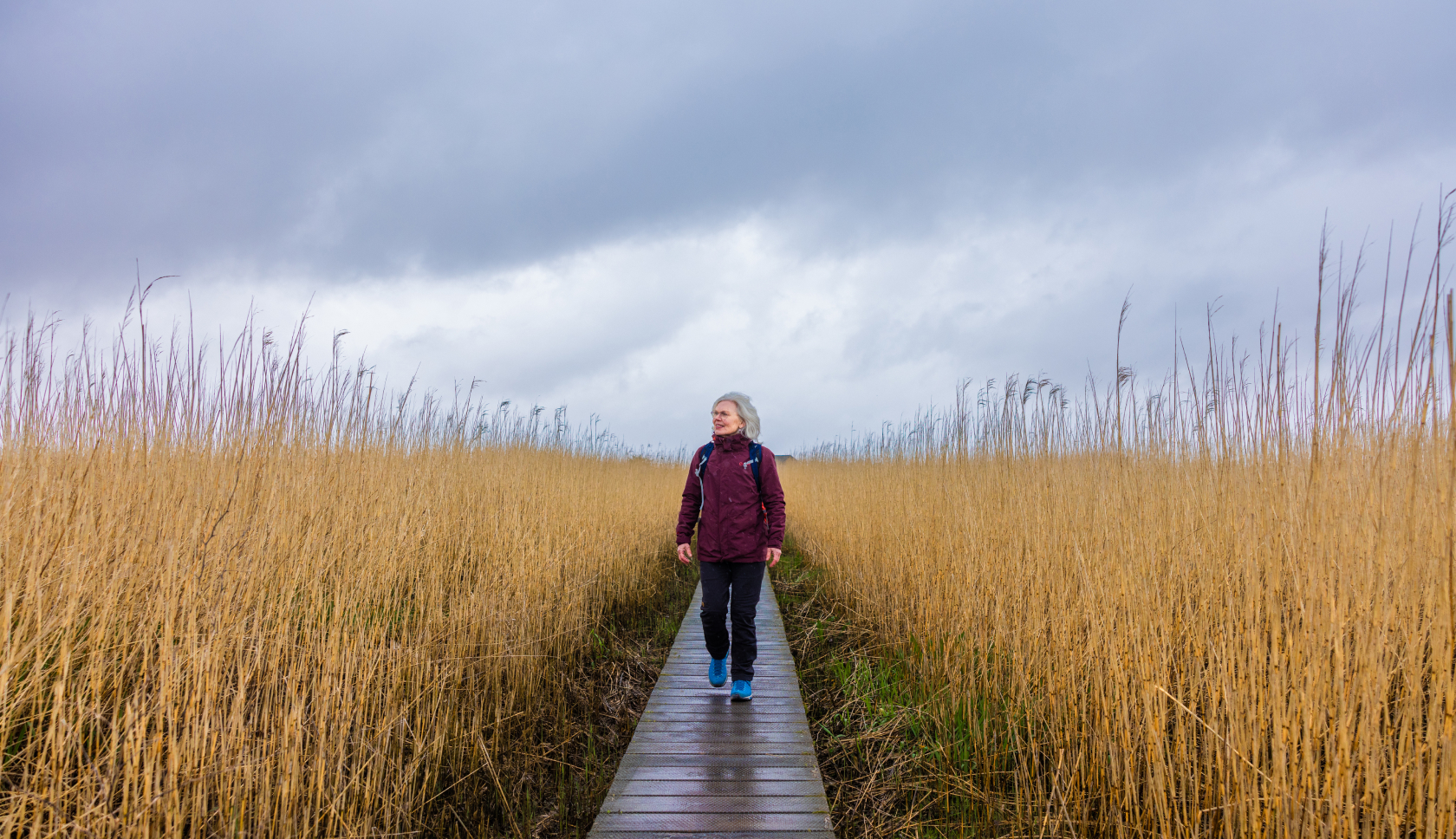 vrouw loopt over houten pad tussen het lange riet