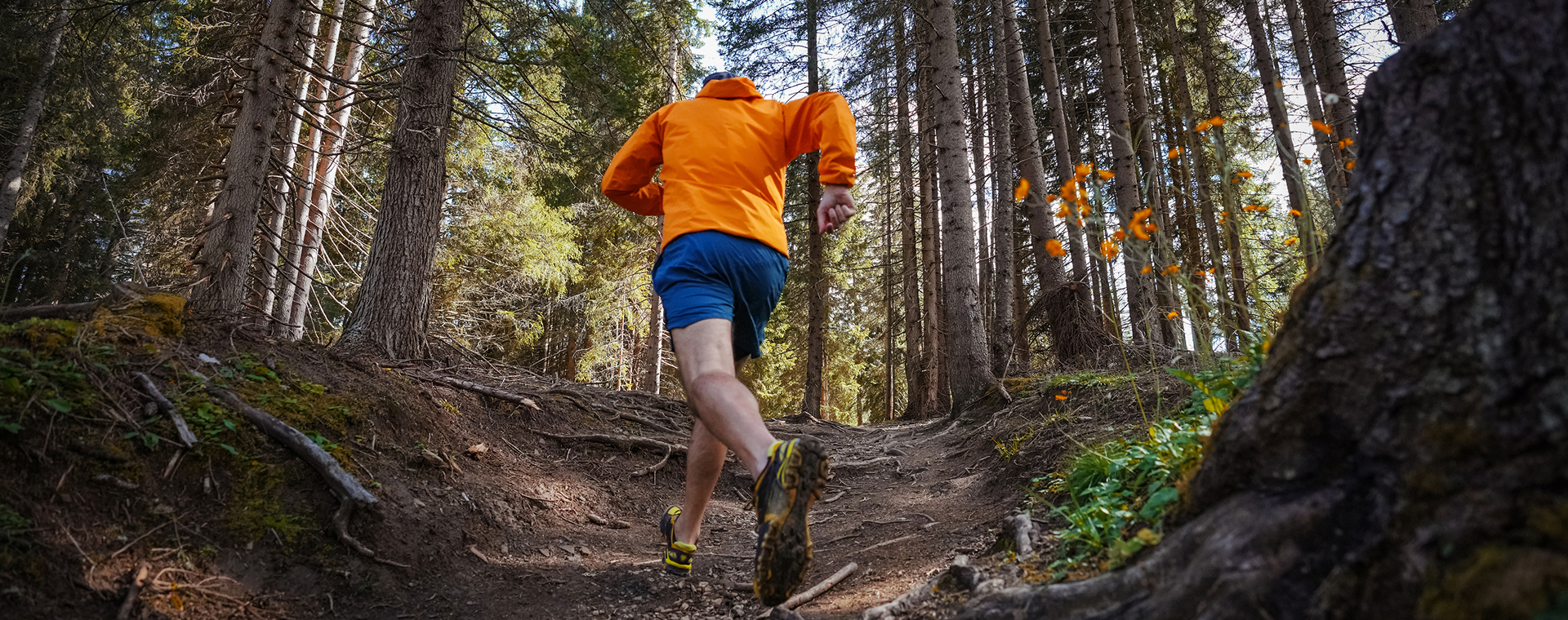 Wat heb je nodig voor trailrunnen?