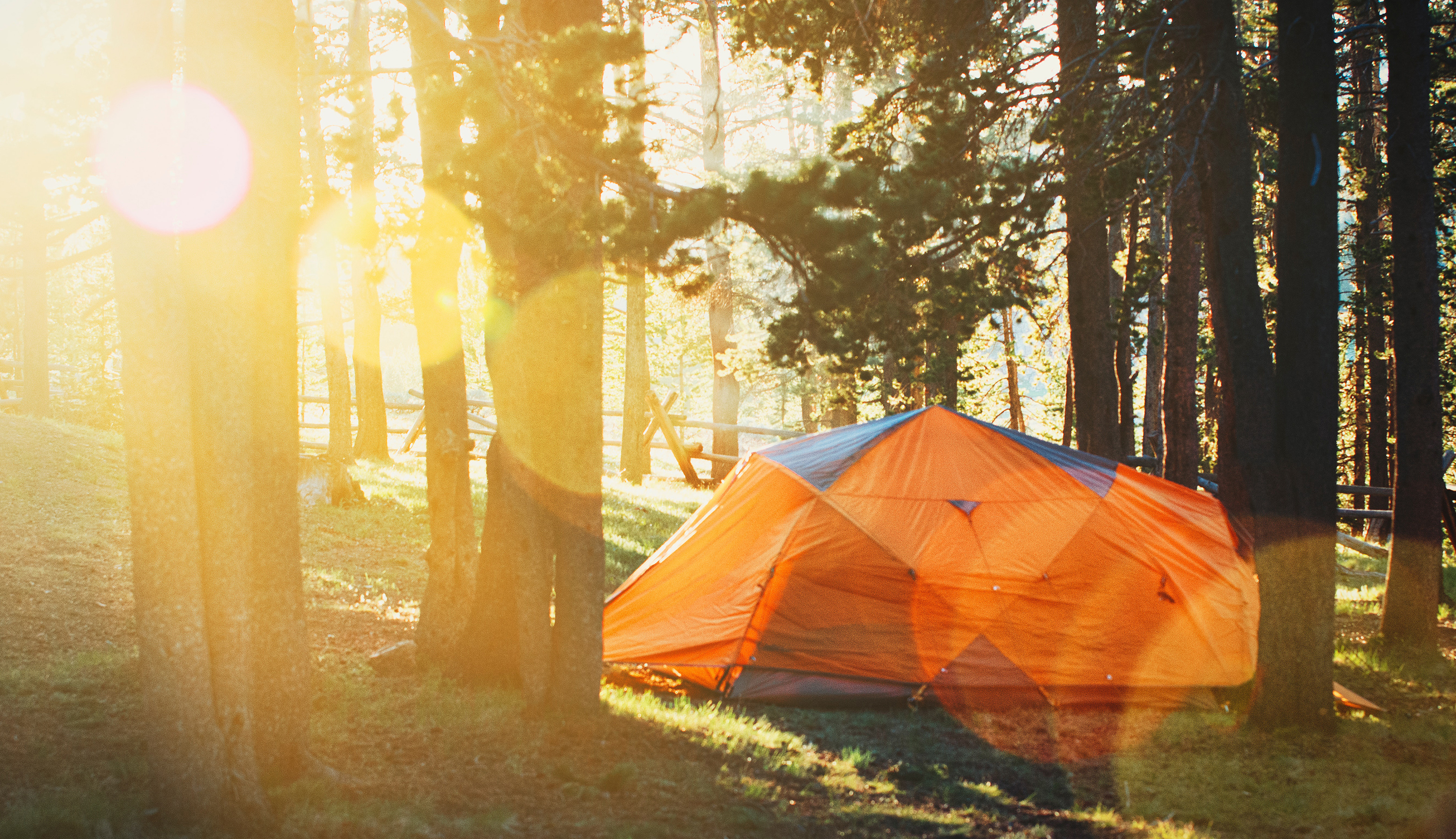 oranje tent staat tussen de bomen