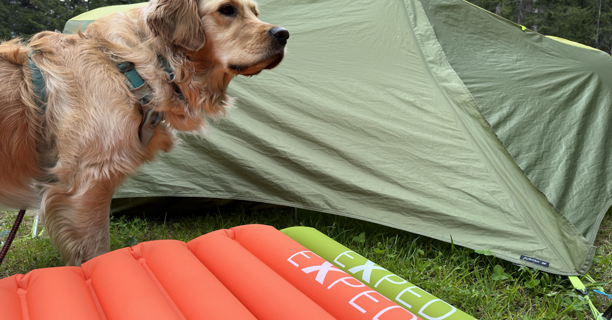 Zo doen Expedmatten het op een lichtgewicht trekking Bever