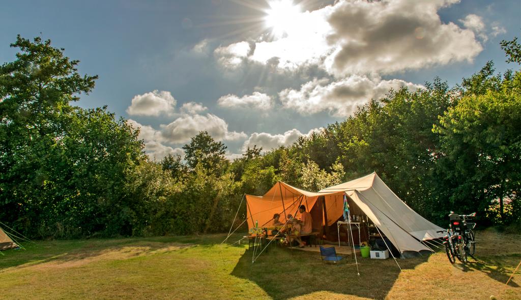 Verenigde Staten van Amerika verdrievoudigen uitbreiden De mooiste Nederlandse campings midden in de natuur | Bever