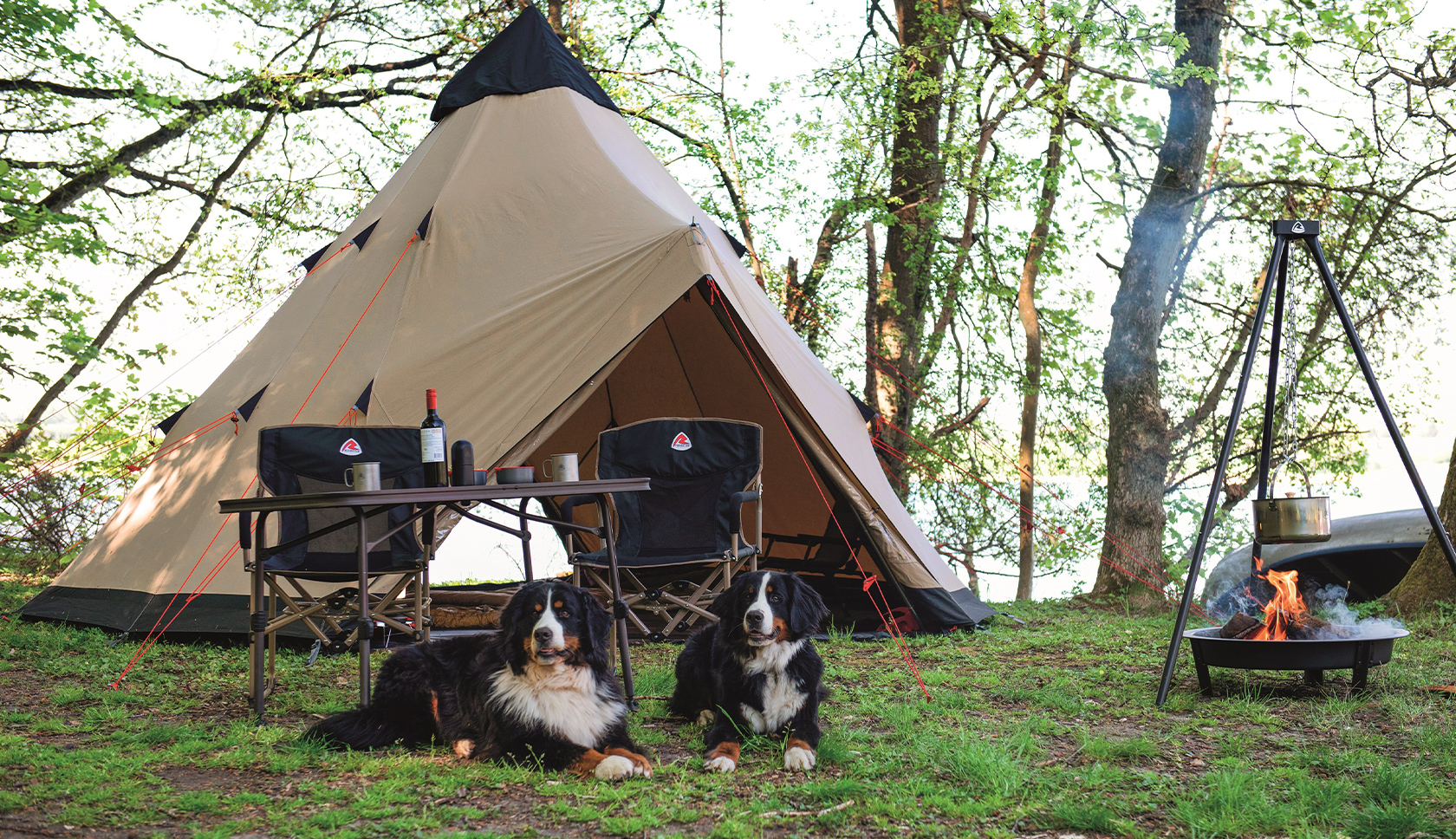 Pa Claire bewondering Goede tent duur? Dit speelt er mee bij de prijs van een product | Bever