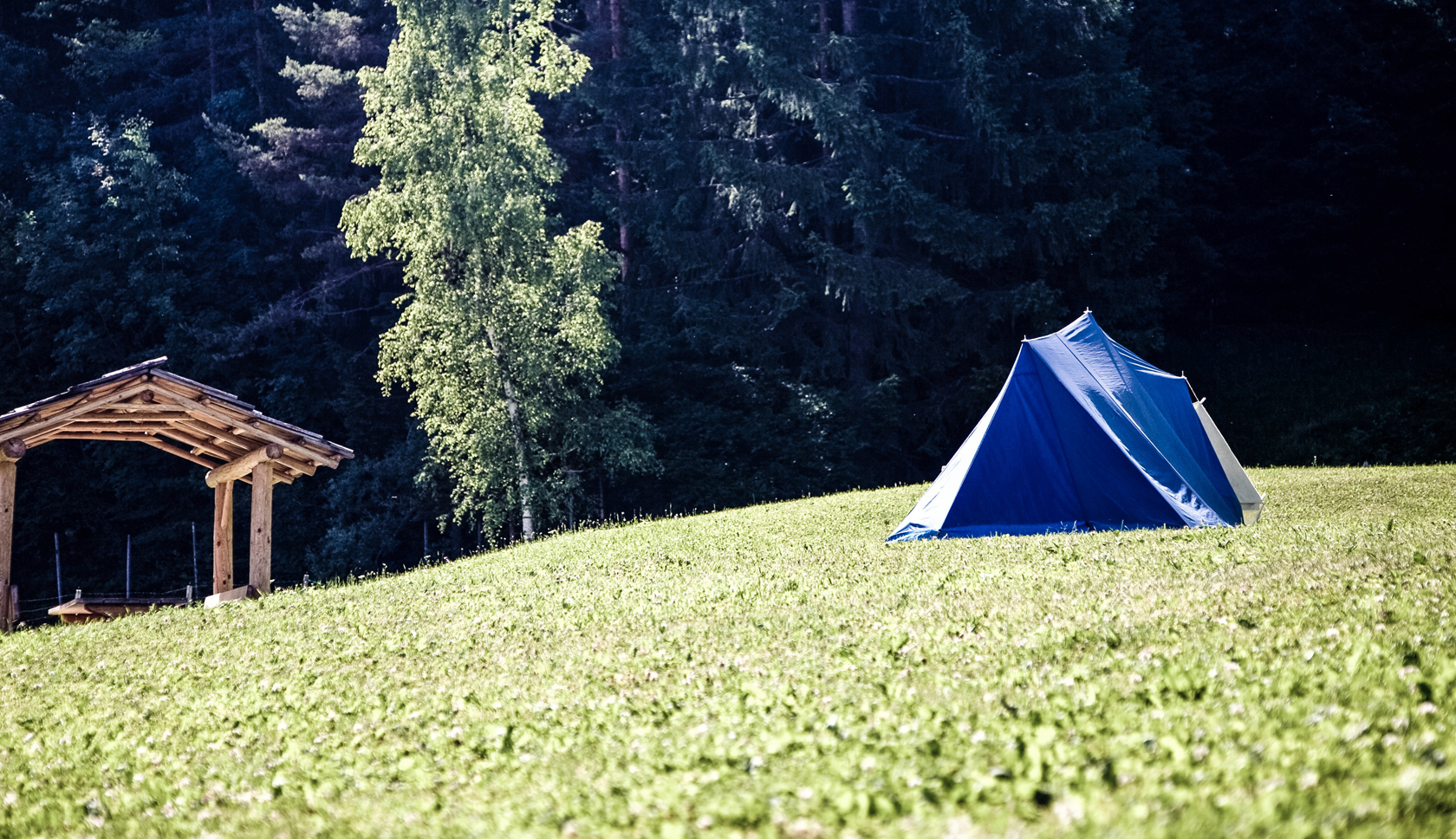 tent staat in een open veld