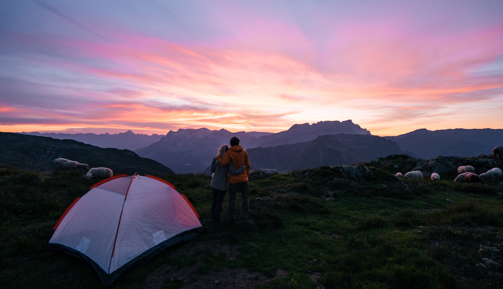 Wildkamperen in Frankrijk: een stel kijkt naar de zonsondergang bij hun tent, omgeven door schapen