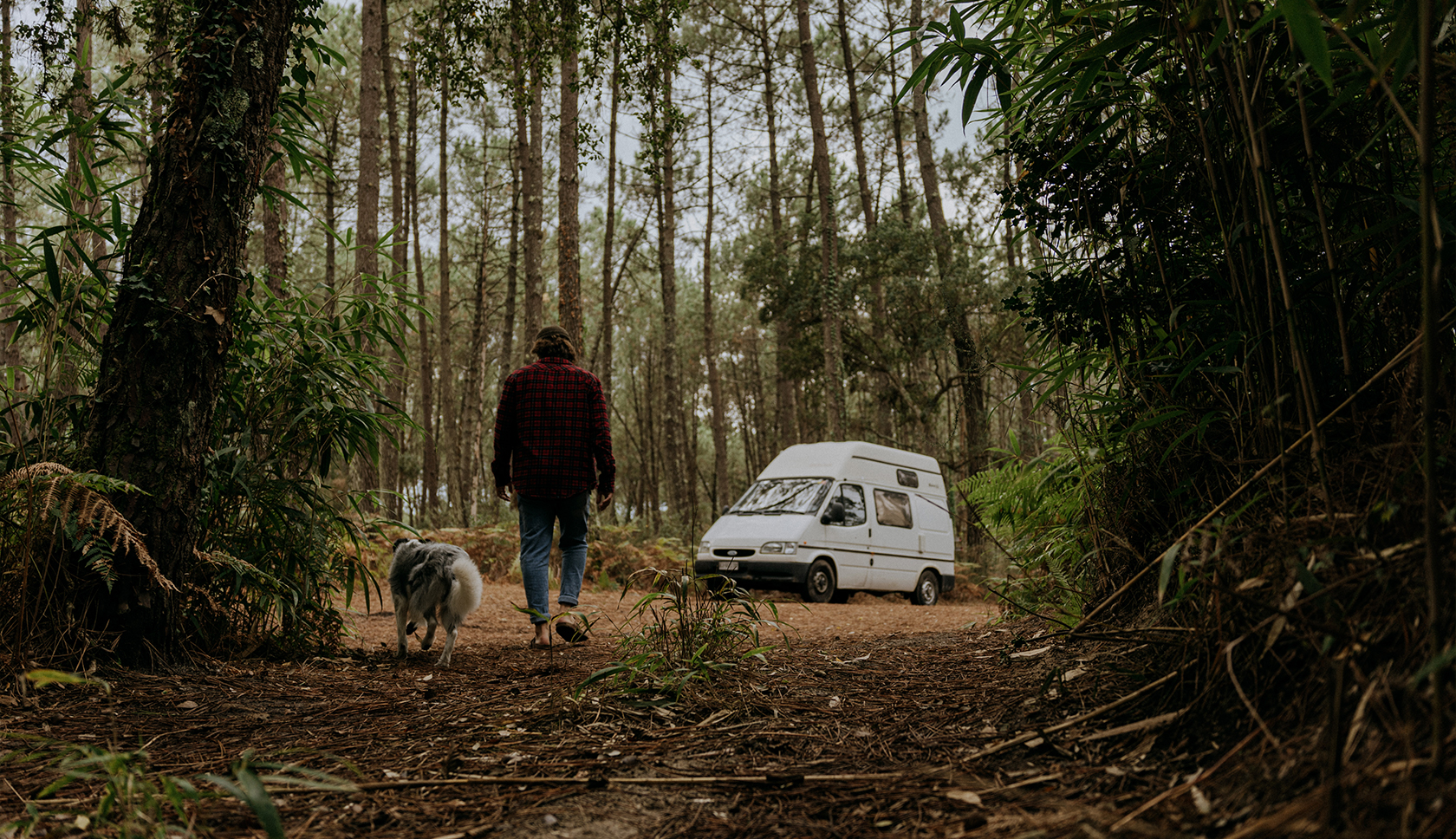 man loopt met hond terug naar de camper