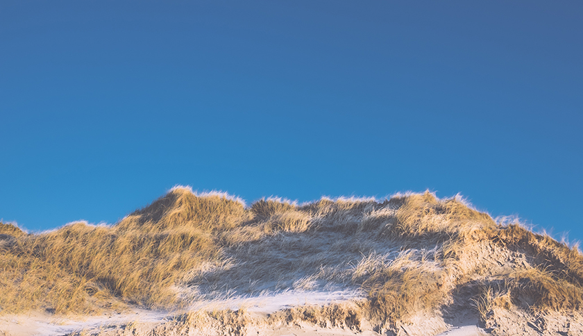 Duinen trailrunpad