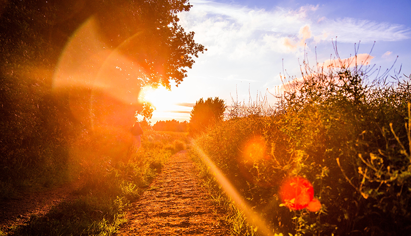 Trailrun pad met ondergaande zon