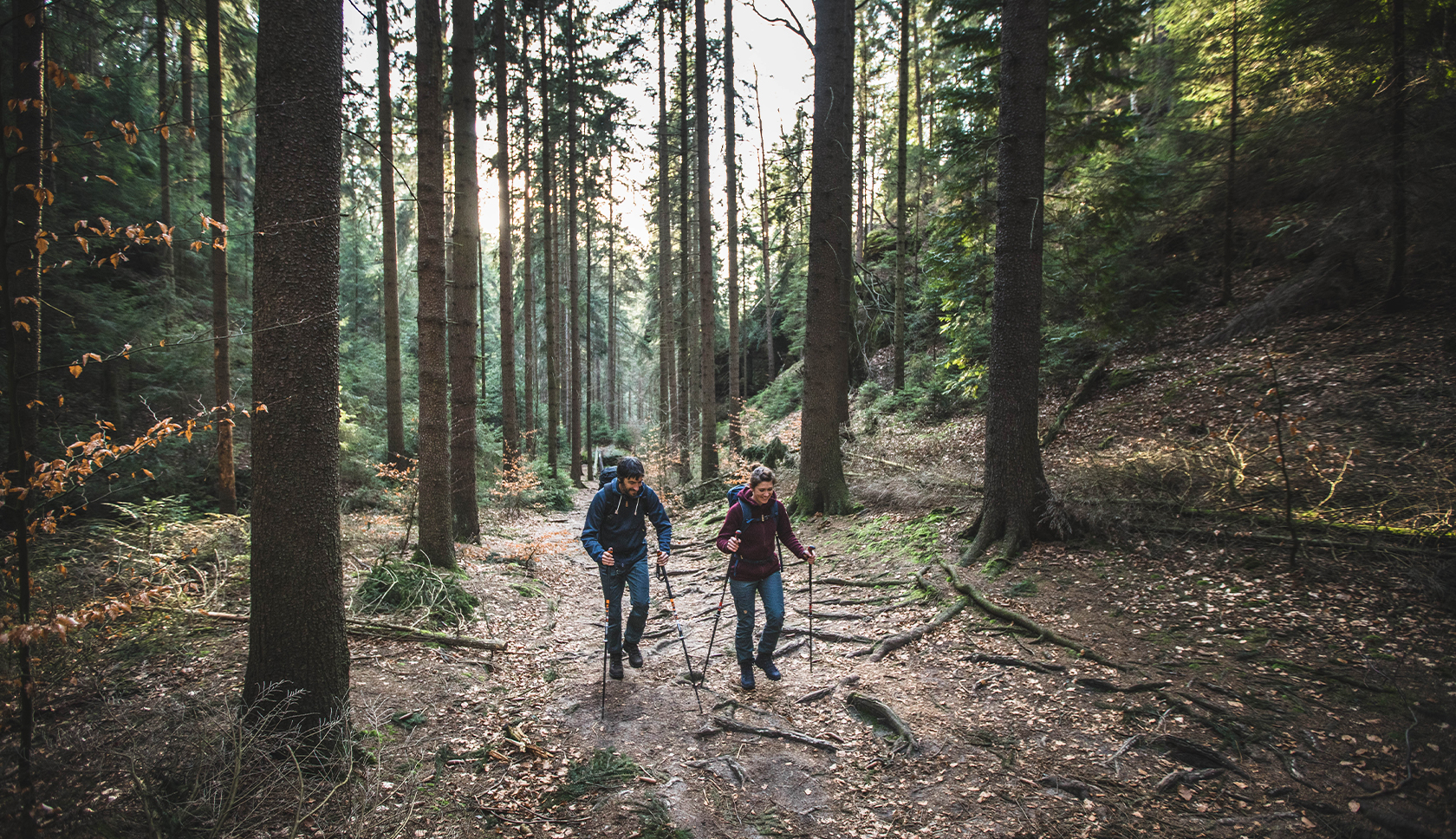 twee wandelaars in het bos