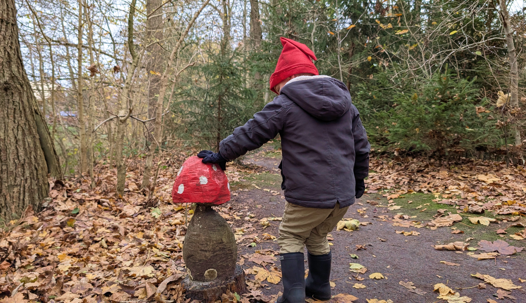 Een jongetje met kaboutermuts bekijkt een paddenstoel van dichtbij 