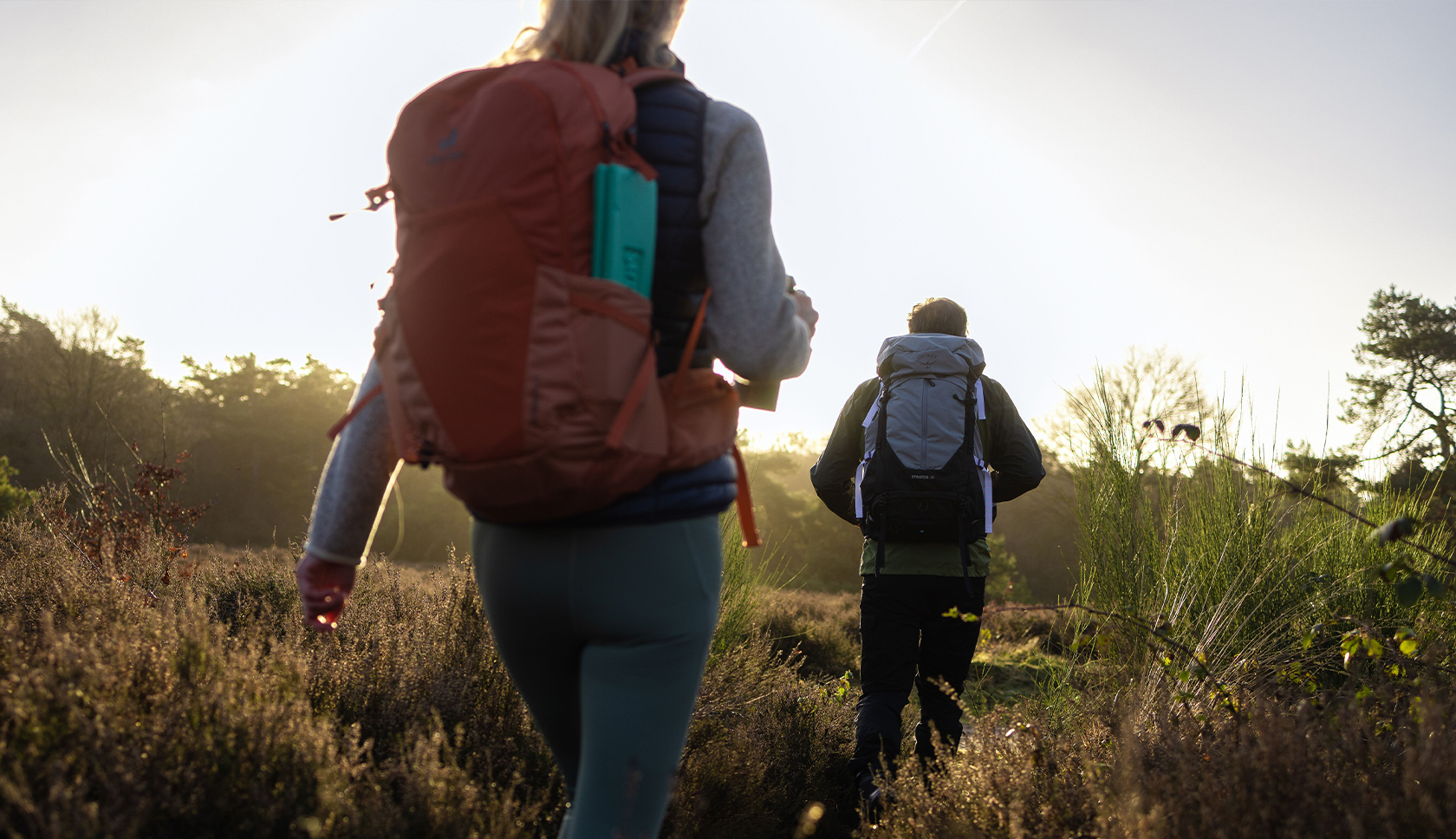 wandelgadget zitlap