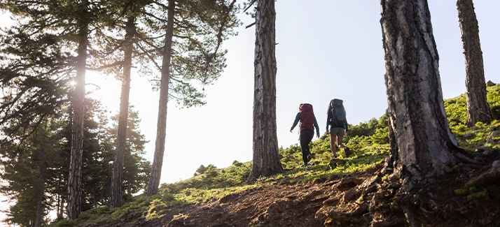Op weg naar de BDMT: met deze wandeltips ben je klaar voor dé bergwandeling van Nederland 