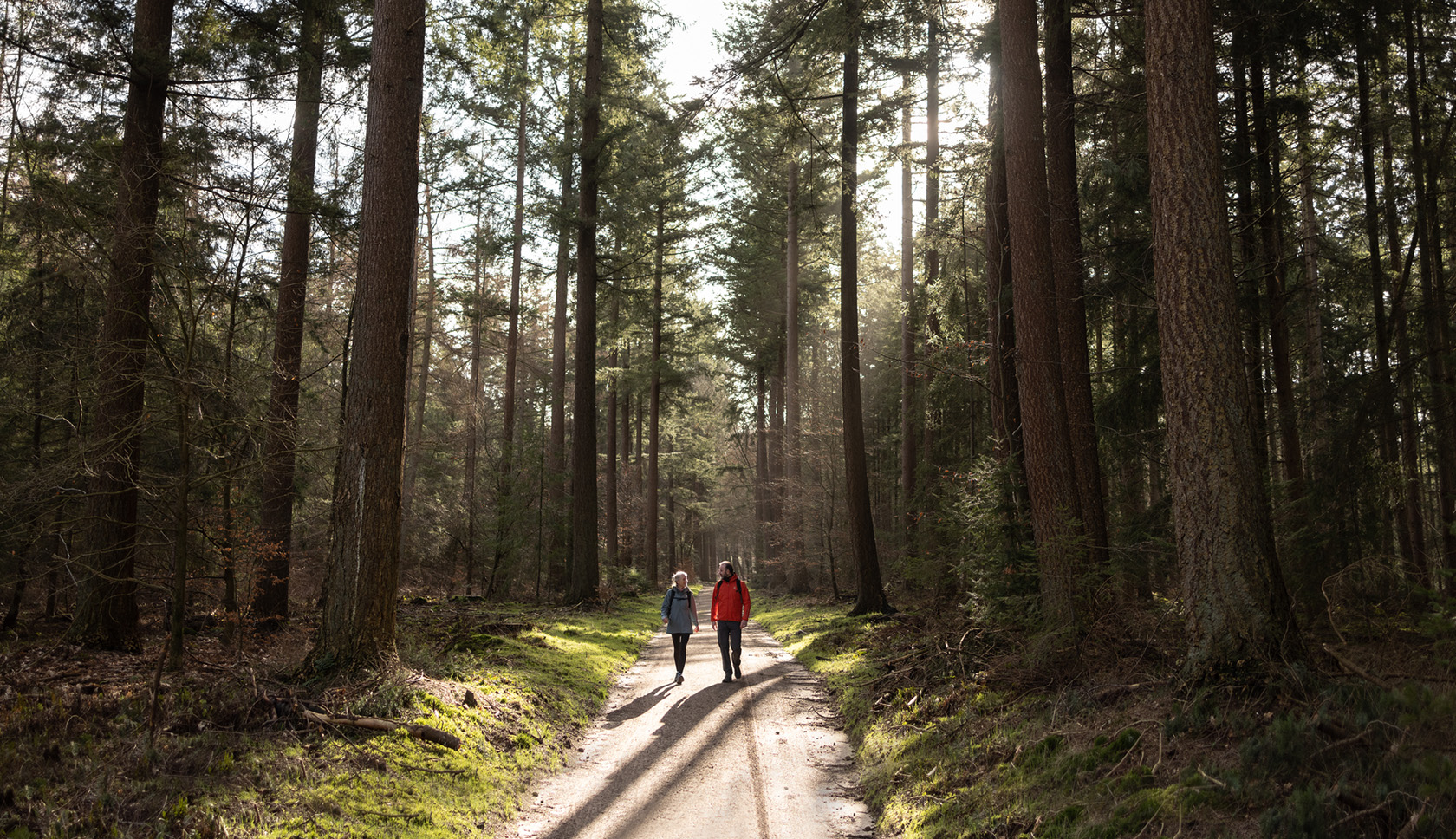 twee wandelaars wandelen door het bos