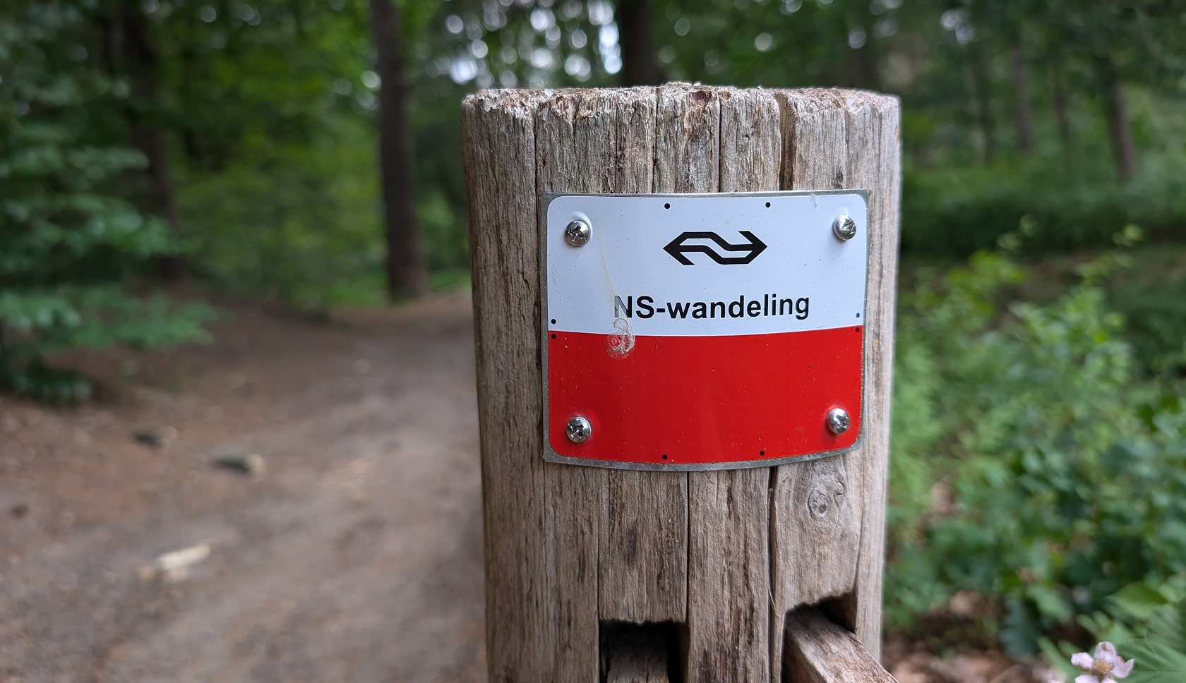 Een NS-wandeling is een wandelroute van station naar station