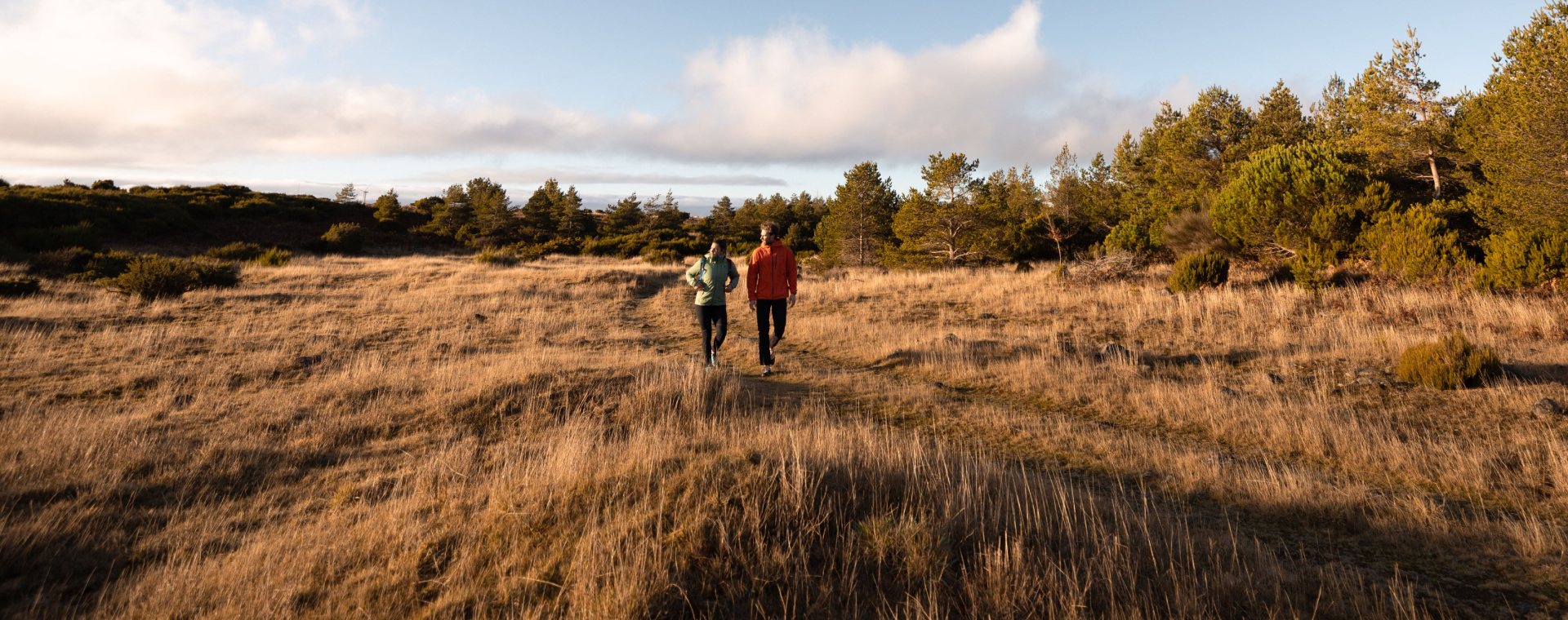 De mooiste NS-wandelingen: ontdek natuur met de trein