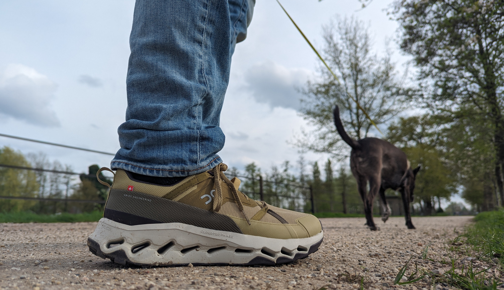 Een donkergroene, lage wandelschoen op asfalt, met daarvoor een hond