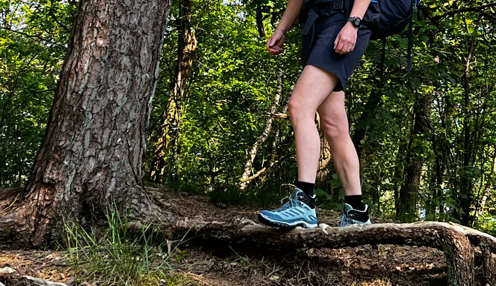 Een persoon loopt in het bos op hoge, blauwe wandelschoenen