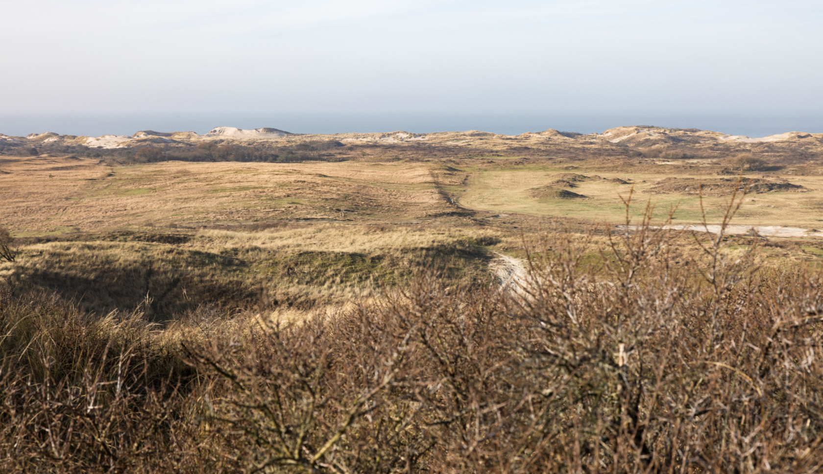 Een mooie herfstwandeling: Boswachterspad Meeuwenduinen loopt door Boswachterij Westerschouwen