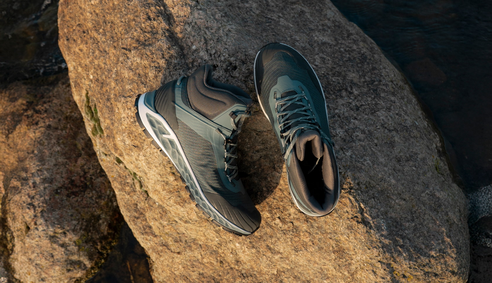 Wandelschoen Ayacucho Cabrera Mid tijdens een wandeling door de heide, met een vrolijke hond naast de wandelaar.