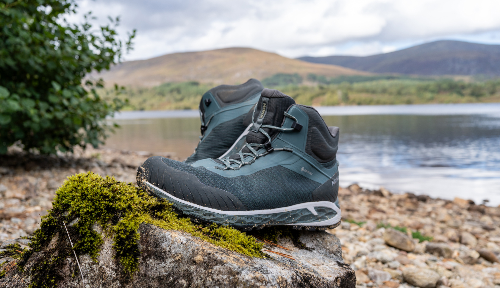 Wandelschoen Ayacucho Cabrera Mid tijdens een wandeling door de heide, met een vrolijke hond naast de wandelaar.