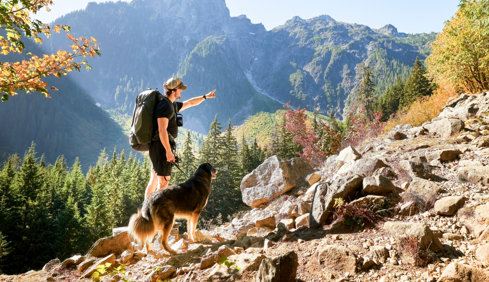 man en hond wandelen op een zonnige berg