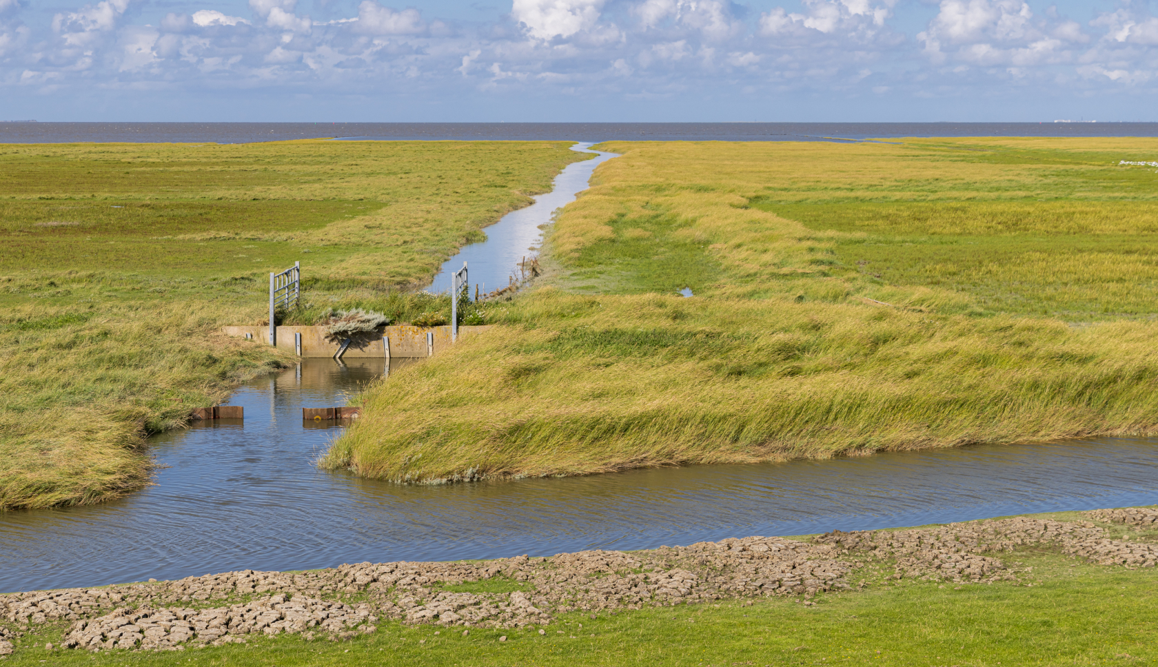 Het uitgestrekte landschap van Pieterburen is een van de highlights van het Ziltepad