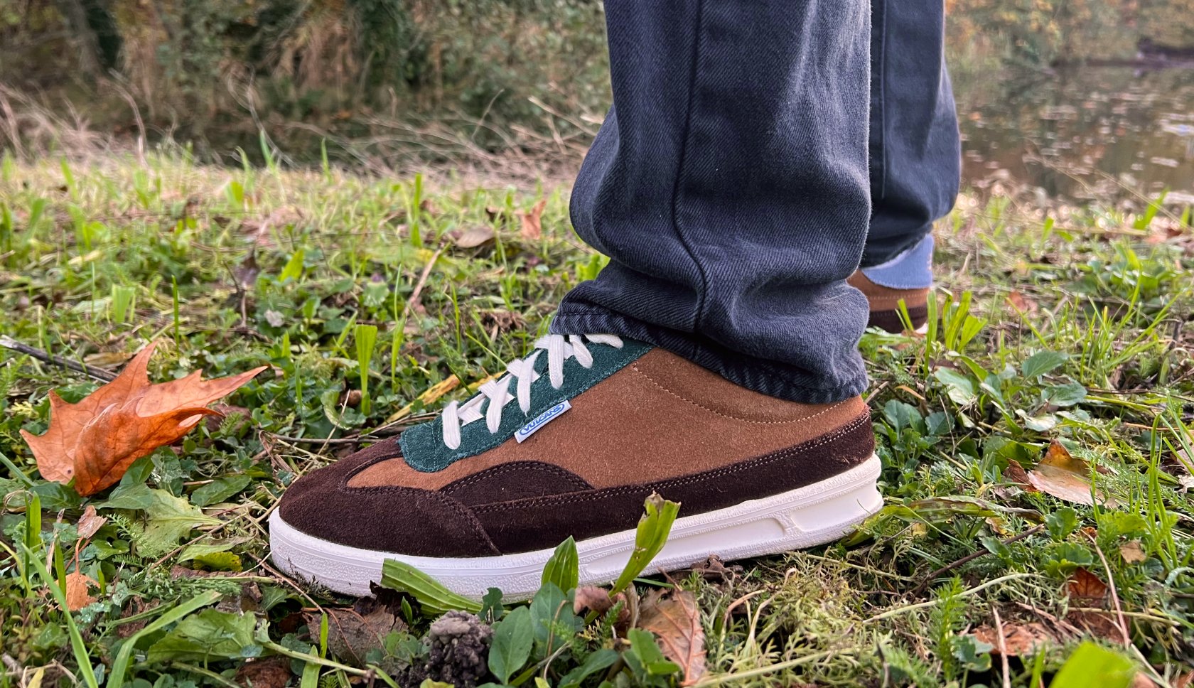 Wandelschoen Ayacucho Cabrera Mid tijdens een wandeling door de heide, met een vrolijke hond naast de wandelaar.