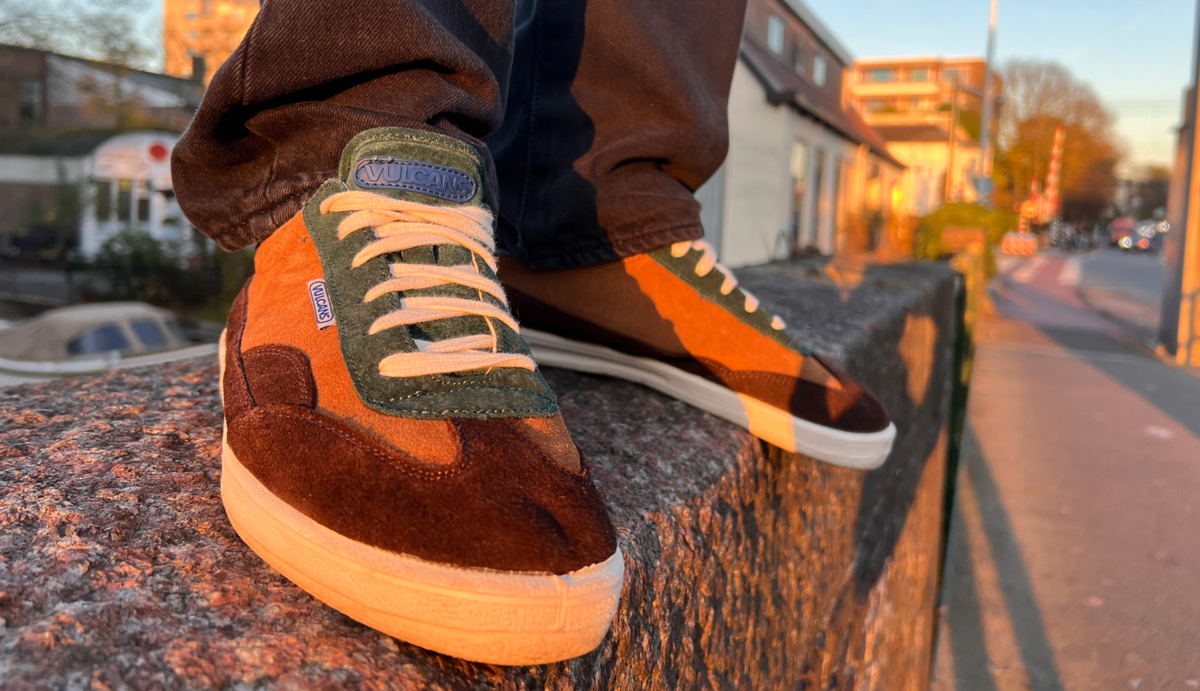 Wandelschoen Ayacucho Cabrera Mid tijdens een wandeling door de heide, met een vrolijke hond naast de wandelaar.