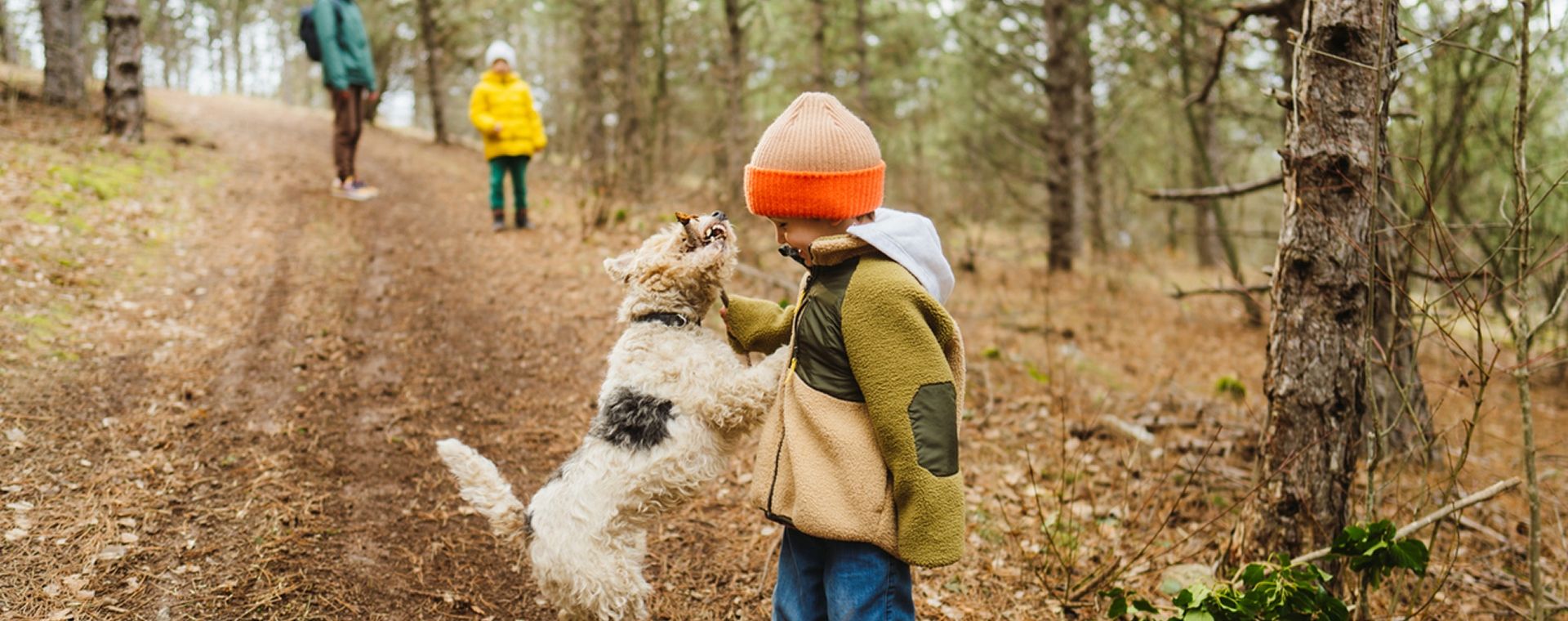 Zin in een mooie herfstwandeling? 7 routes vol herfstgeuren en -kleuren