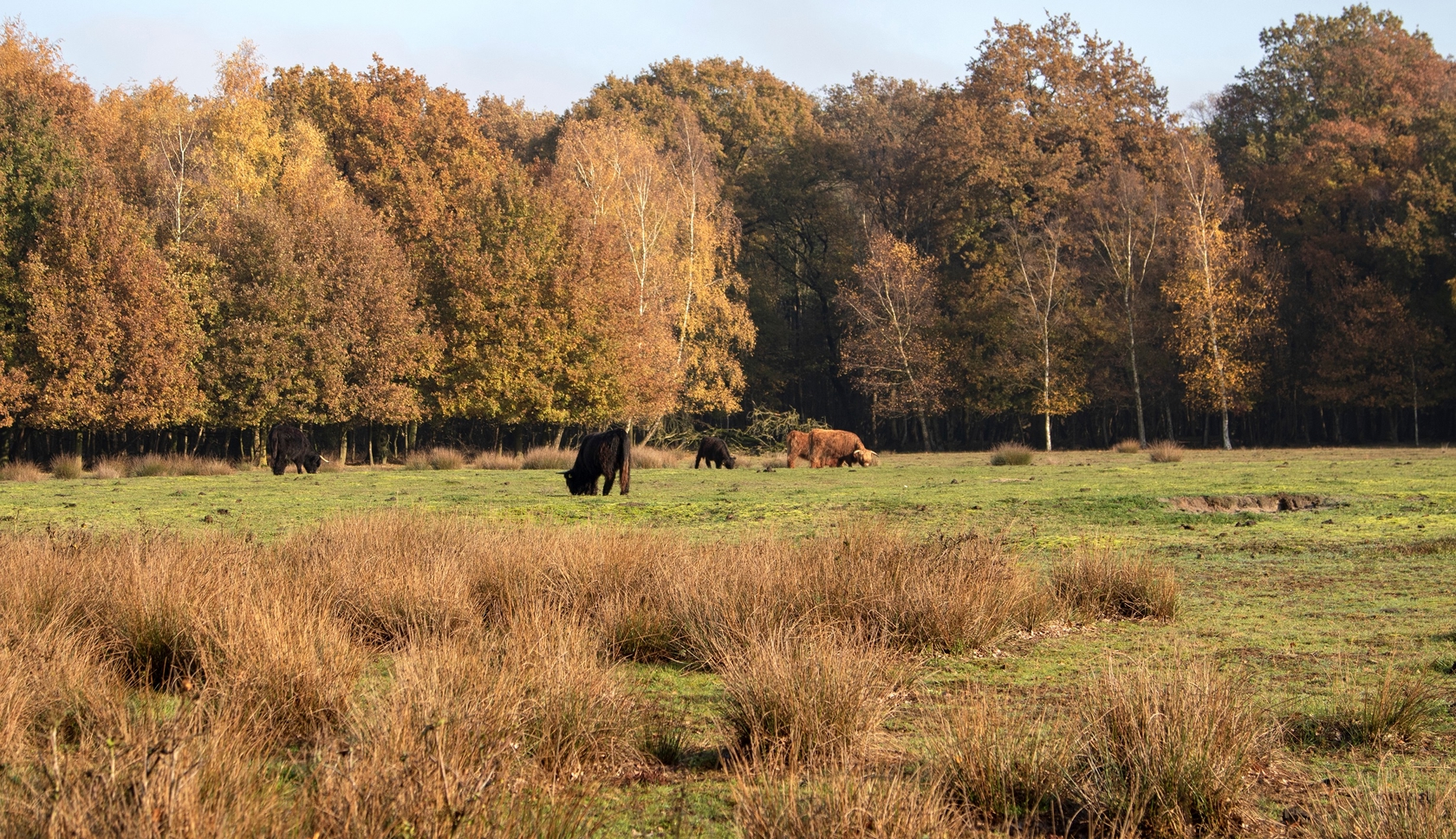 © Lotte Sprenger, Boswachterspad Schadijkse Bossen