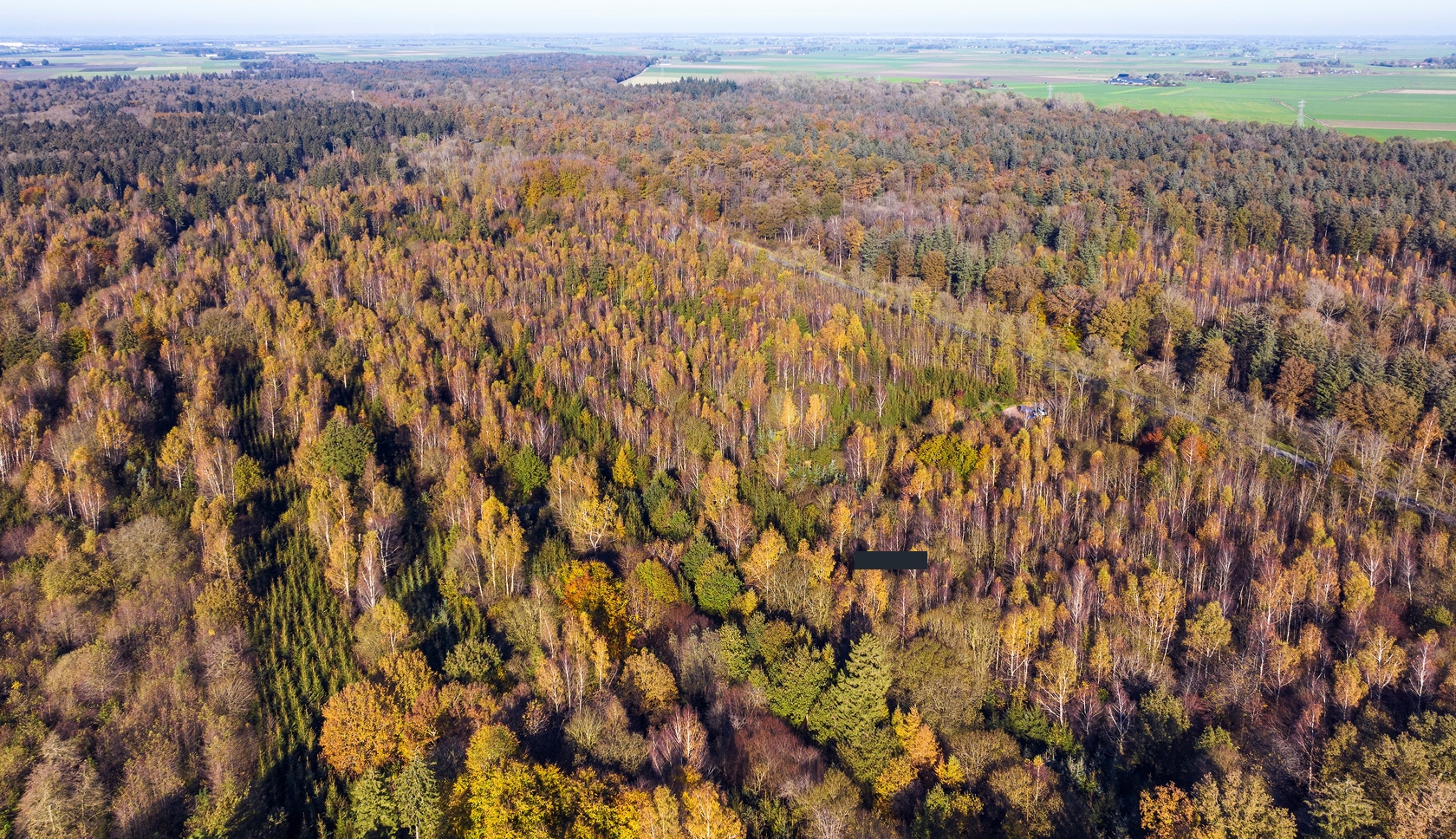Herfstkleuren in het Kuinderbos gezien vanuit de lucht