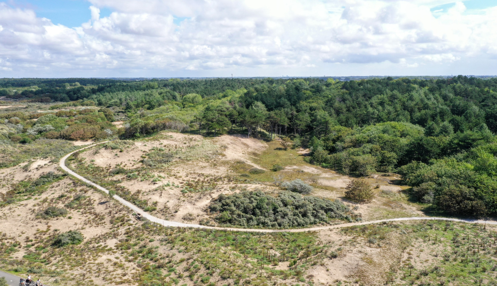 Een pad door duinen en langs bomen.