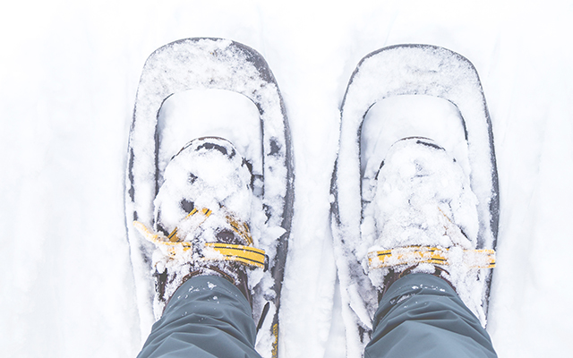 Dé upcoming activiteit in wintersportland: sneeuwschoenwandelen | Bever