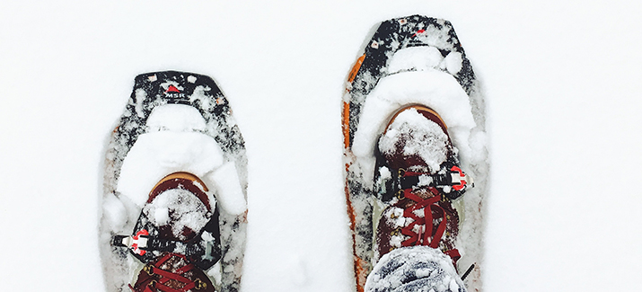 Dé upcoming activiteit in wintersportland: sneeuwschoenwandelen | Bever