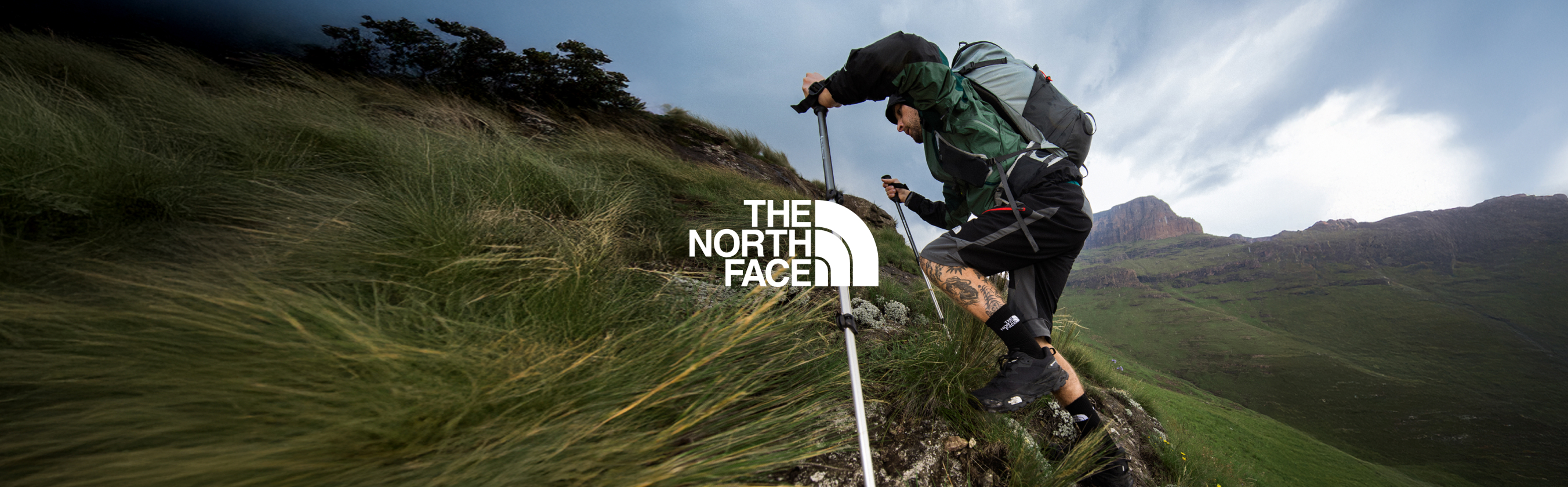 tnf