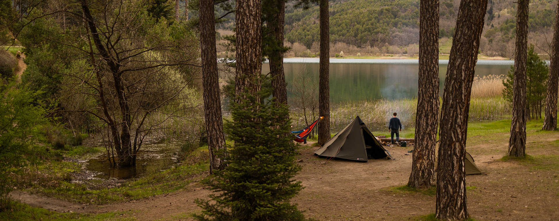 Wildkamperen in Nederland: zo kan het wél