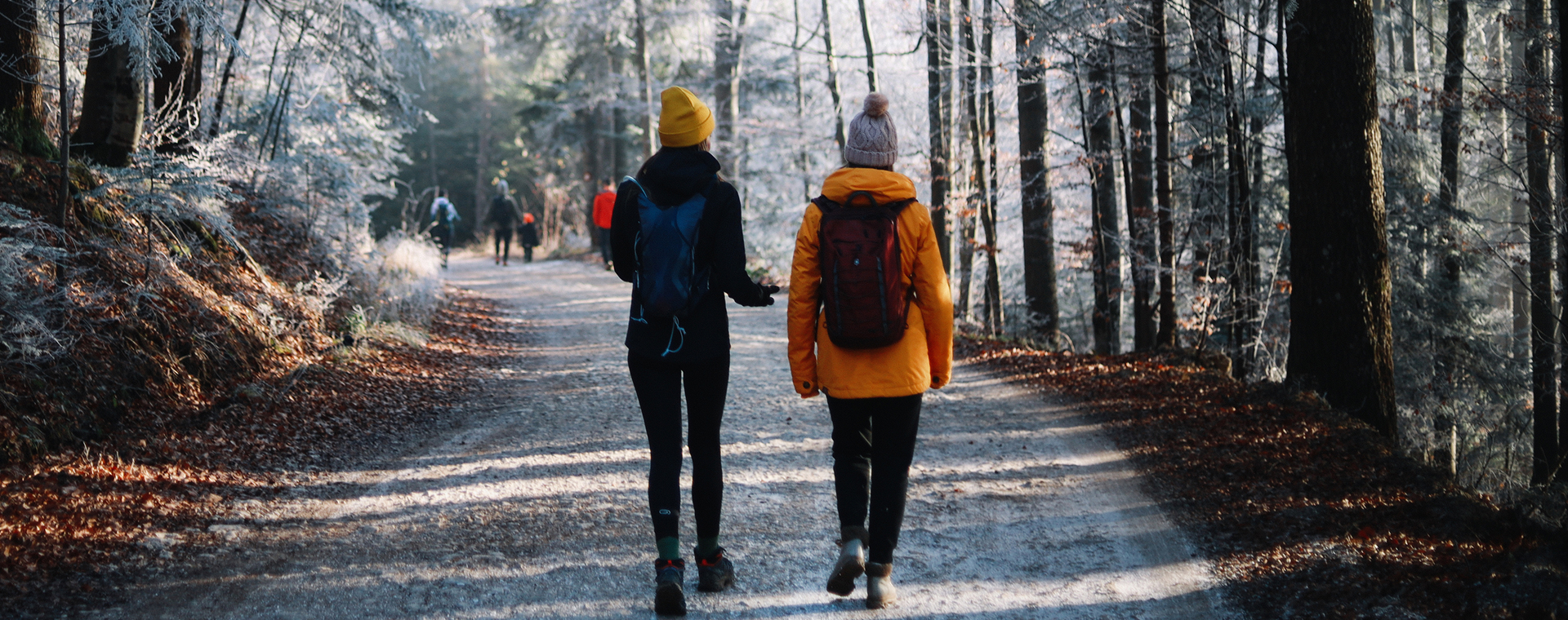 Top 20 winteractiviteiten: skip je winterdip!