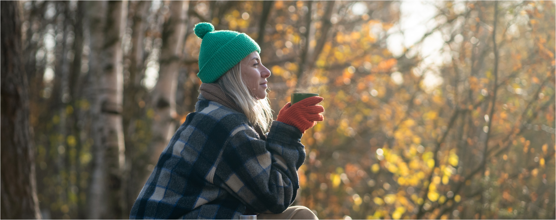Winterwandelen in Nederland: wat zijn de mooiste wandelroutes?