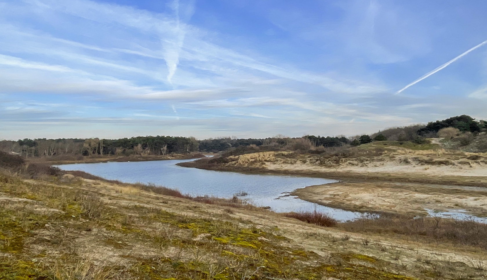 Duinlandschap met water en begroeide duinen langs de Nederlandse kust