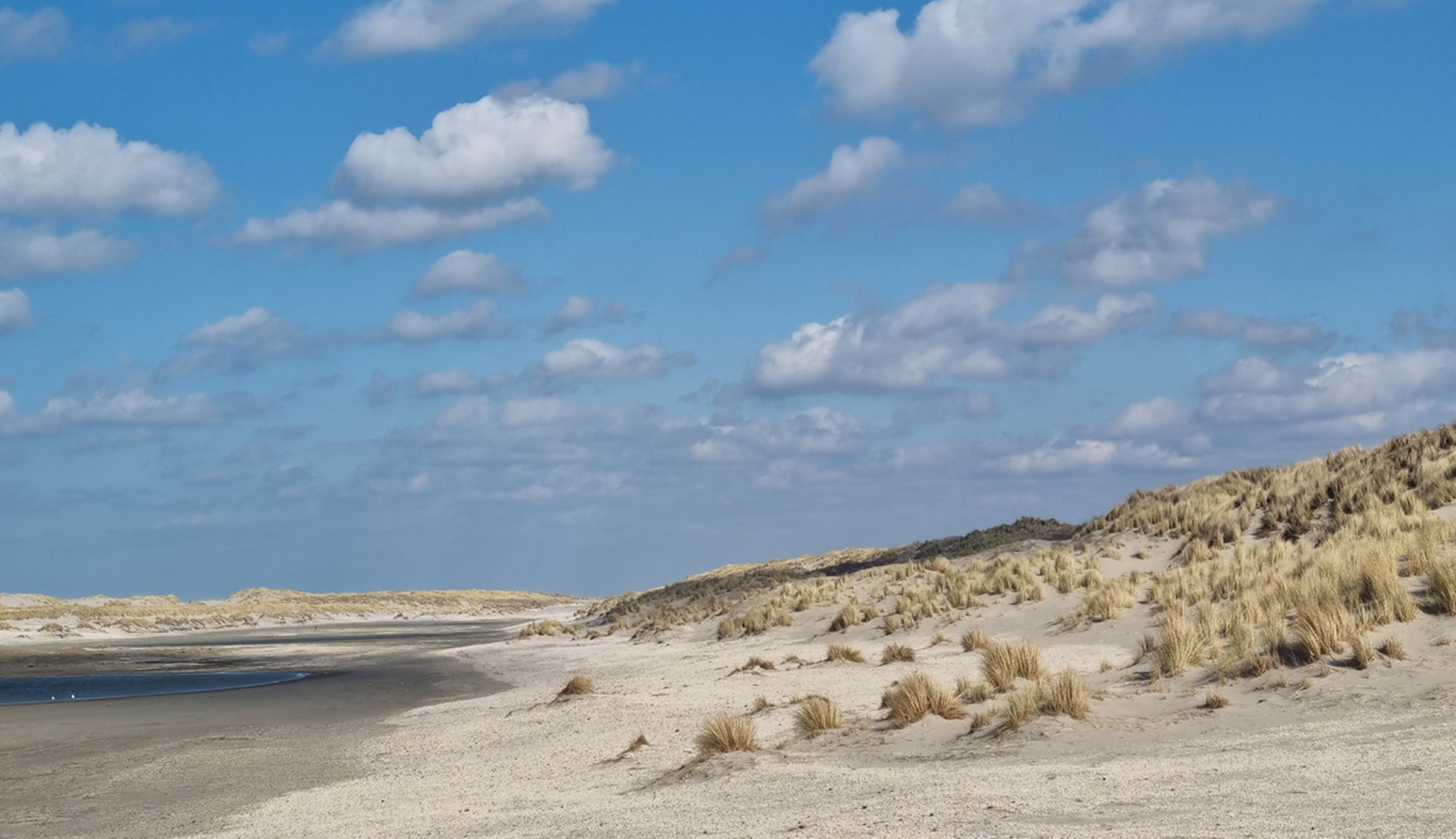 Duinlandschap met zand, water en helmgras onder een blauwe lucht