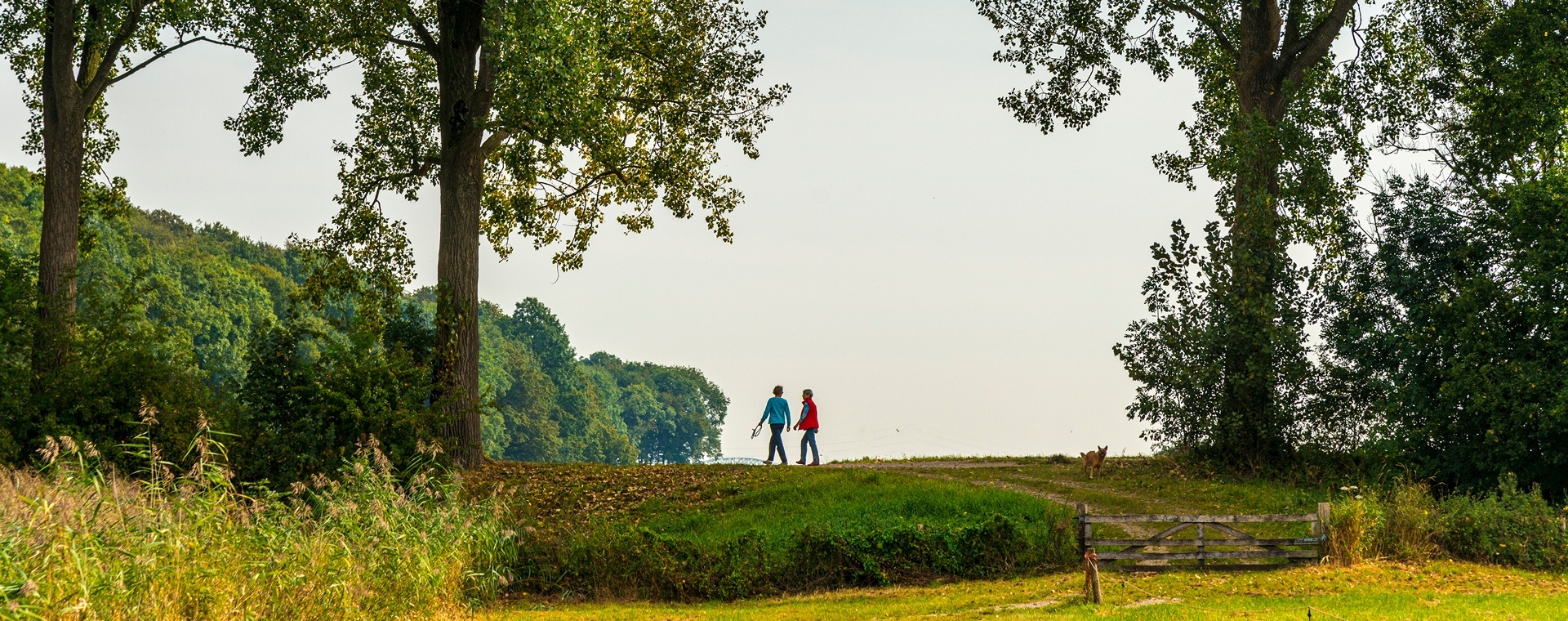 Ontdek 5 mooie langeafstands-wandelingen in Nederland