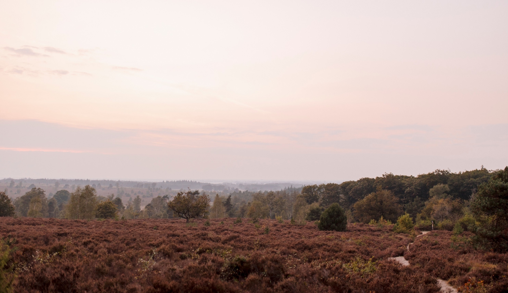 boswachterspad koningsbelt