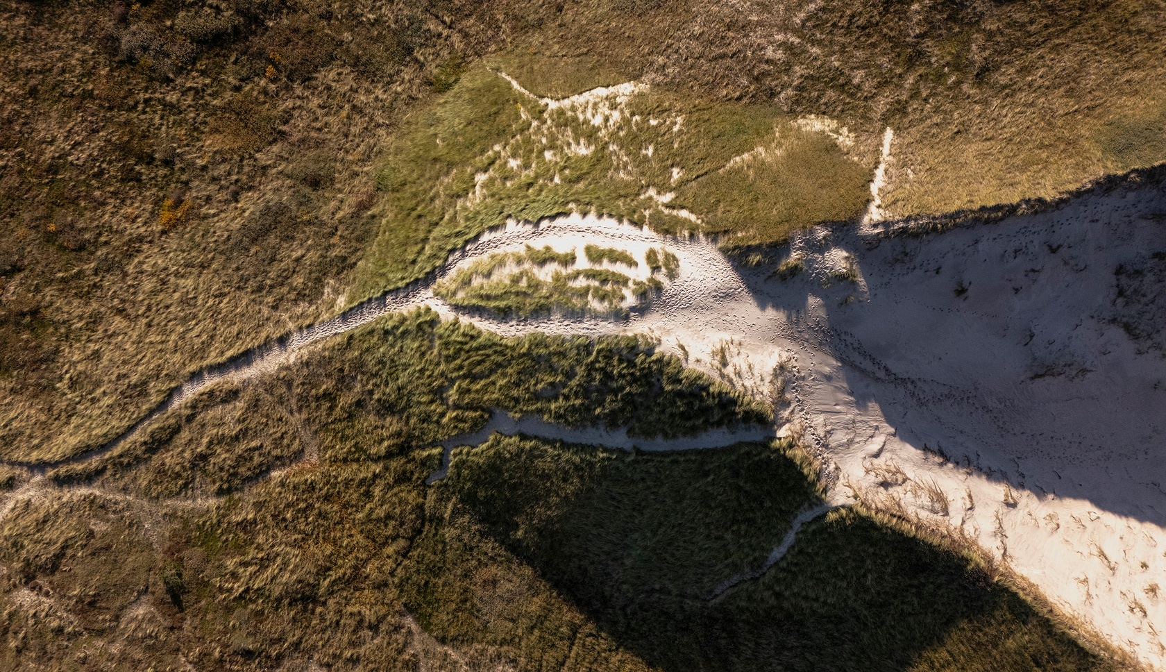 boswachterspad noordzeewandeling