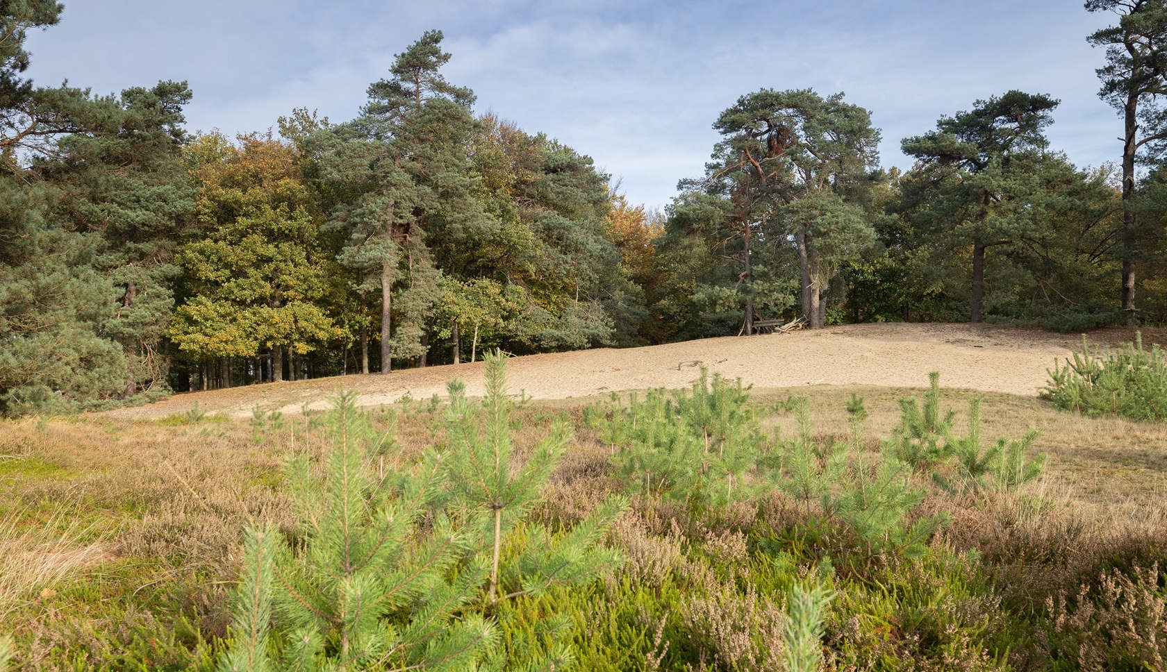 boswachterspad olde smildeger
