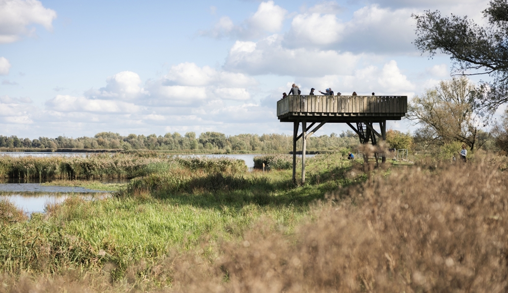 boswachterspadzuiderklip
