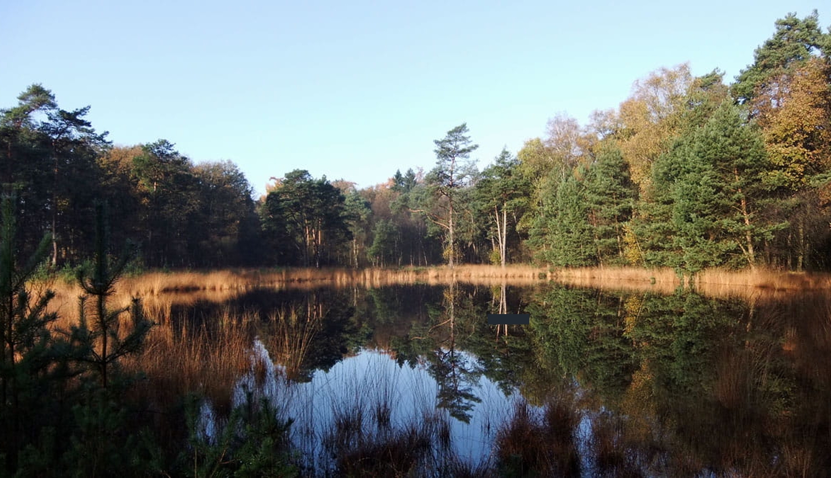 boswachterspad laarzenpad ruurlo