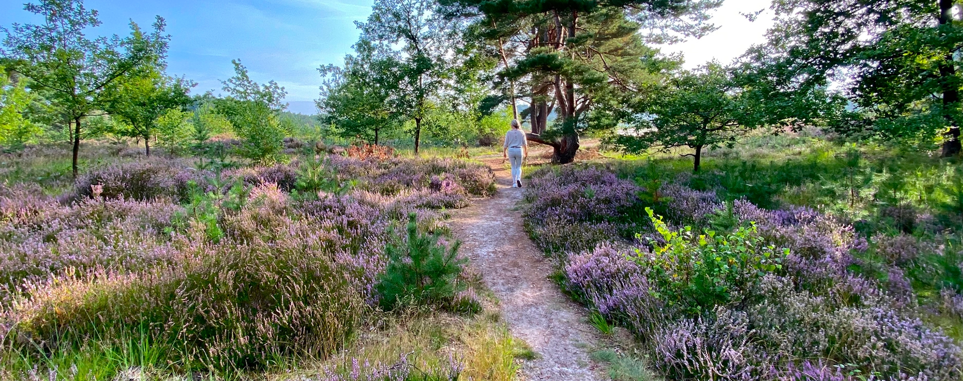 10 mooie wandelroutes voor in de zomer