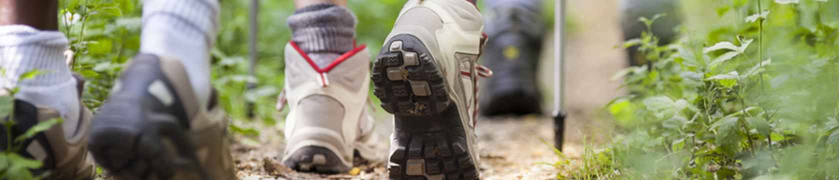 wandelschoenen