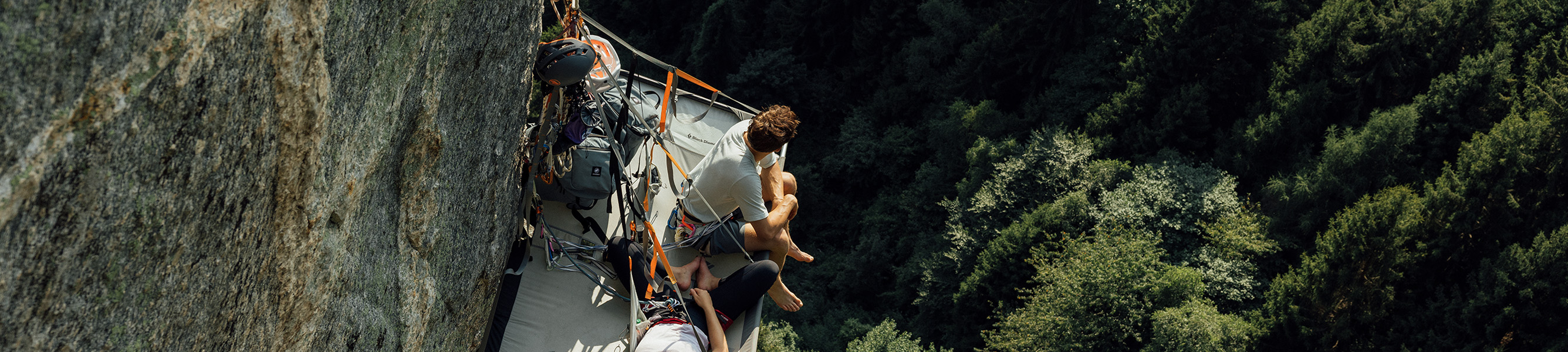 mammut in de bergen