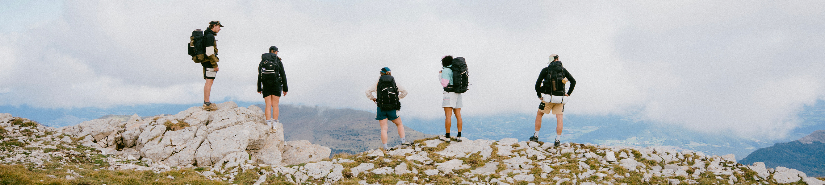 wandelcollectie van picture